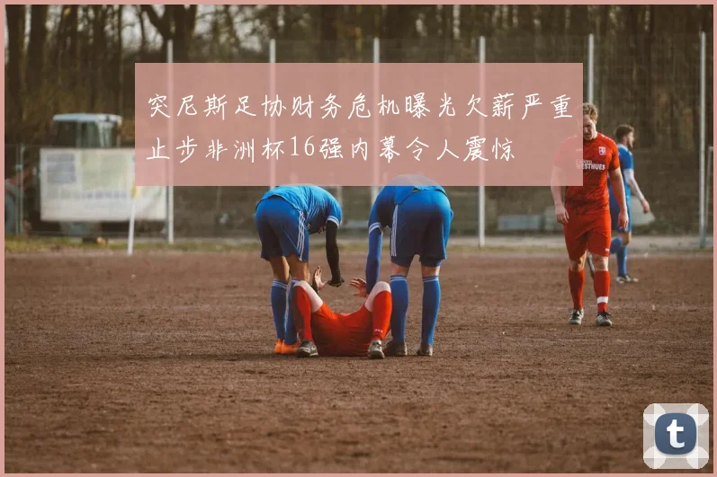 突尼斯足协财务危机曝光欠薪严重止步非洲杯16强内幕令人震惊