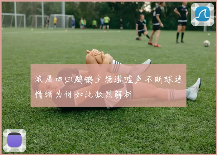 浓眉回归鹈鹕主场遭嘘声不断球迷情绪为何如此激烈解析